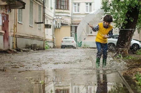 социална